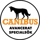 Canibus avancerat specialsök västmanland instagram 